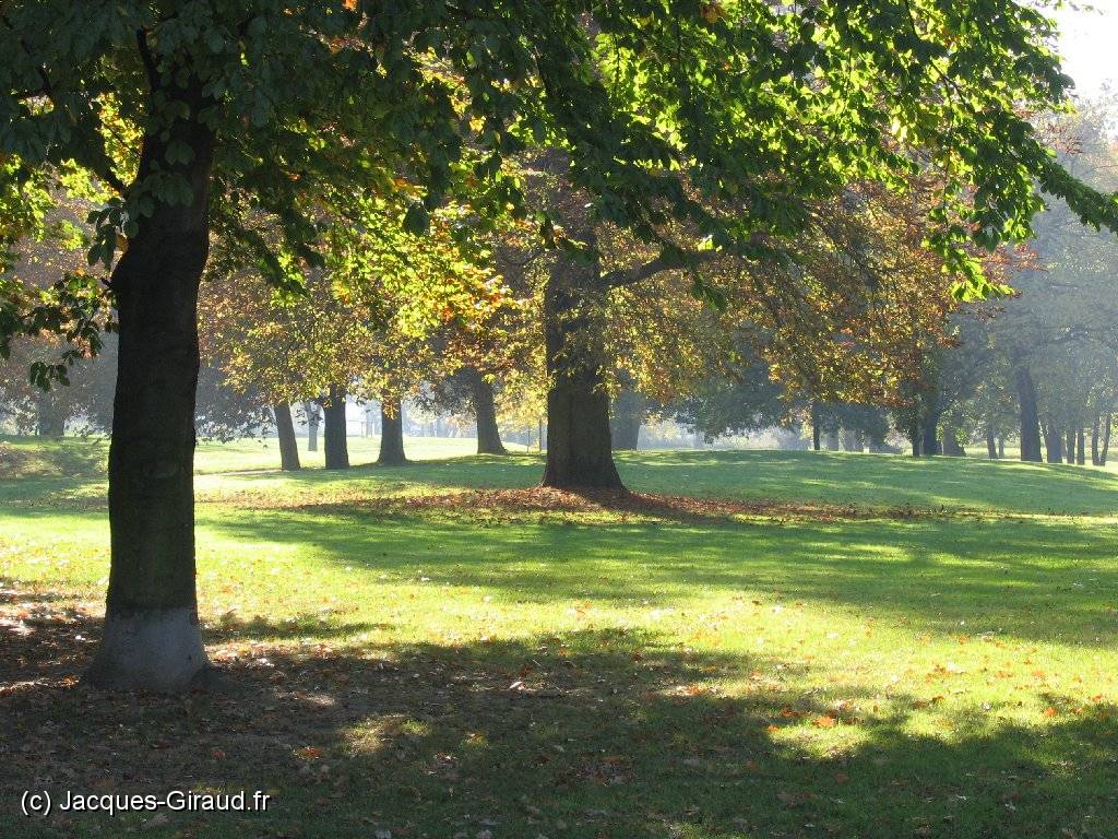 2005-10-28 13-49-18 DeYeuro 112,7mm 1_60_eme F7,1(x1024).JPG